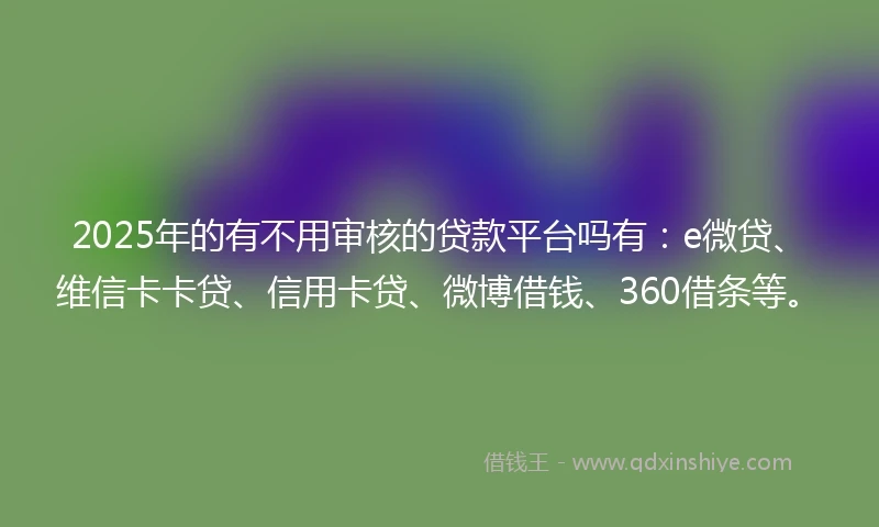 2025年的有不用审核的贷款平台吗有：e微贷、维信卡卡贷、信用卡贷、微博借钱、360借条等。