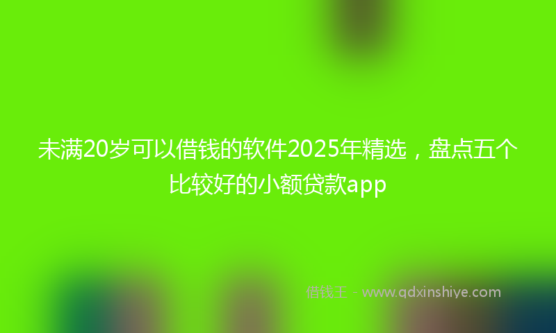 未满20岁可以借钱的软件2025年精选，盘点五个比较好的小额贷款app