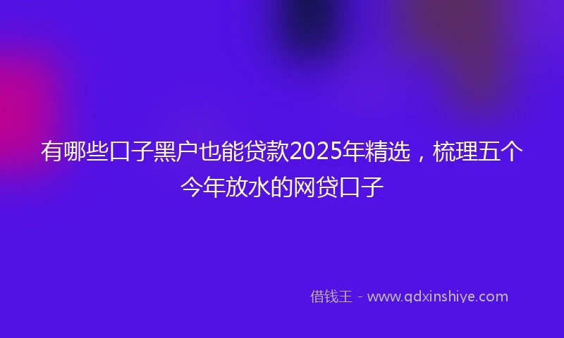 有哪些口子黑户也能贷款2025年精选，梳理五个今年放水的网贷口子
