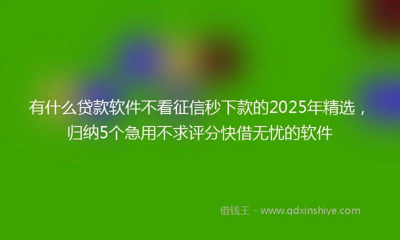 有什么贷款软件不看征信秒下款的2025年精选，归纳5个急用不求评分快借无忧的软件