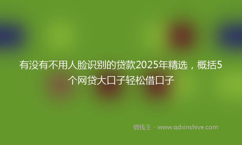 有没有不用人脸识别的贷款2025年精选，概括5个网贷大口子轻松借口子