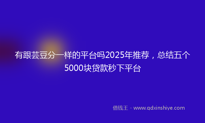 有跟芸豆分一样的平台吗2025年推荐，总结五个5000块贷款秒下平台