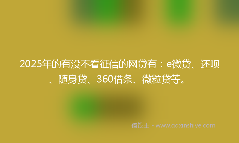 2025年的有没不看征信的网贷有：e微贷、还呗、随身贷、360借条、微粒贷等。