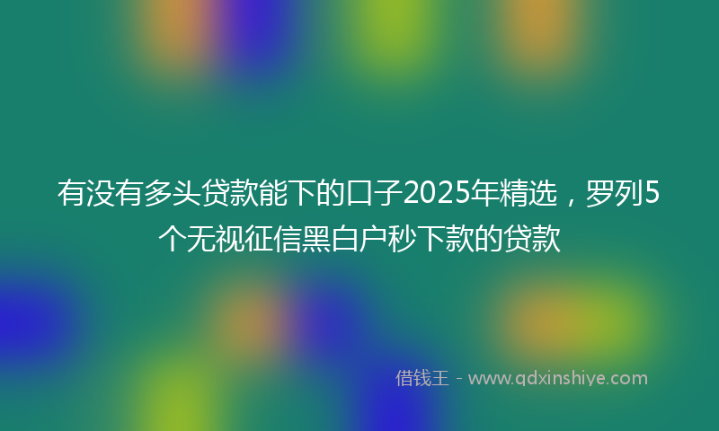 有没有多头贷款能下的口子2025年精选，罗列5个无视征信黑白户秒下款的贷款