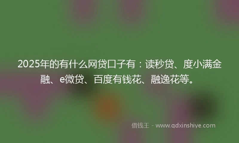 2025年的有什么网贷口子有：读秒贷、度小满金融、e微贷、百度有钱花、融逸花等。