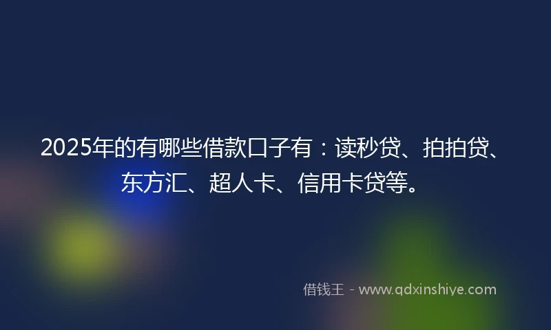 2025年的有哪些借款口子有：读秒贷、拍拍贷、东方汇、超人卡、信用卡贷等。