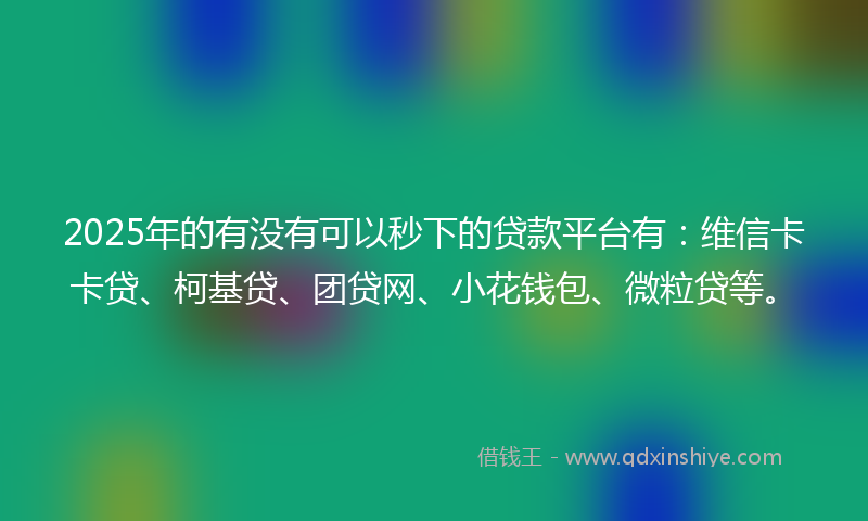 2025年的有没有可以秒下的贷款平台有：维信卡卡贷、柯基贷、团贷网、小花钱包、微粒贷等。