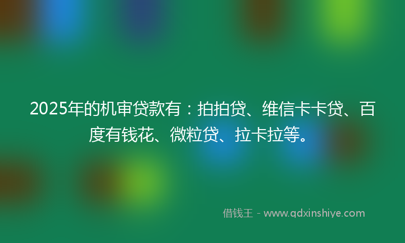 2025年的机审贷款有：拍拍贷、维信卡卡贷、百度有钱花、微粒贷、拉卡拉等。