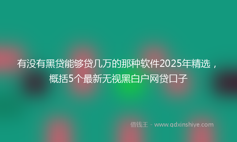 有没有黑贷能够贷几万的那种软件2025年精选，概括5个最新无视黑白户网贷口子