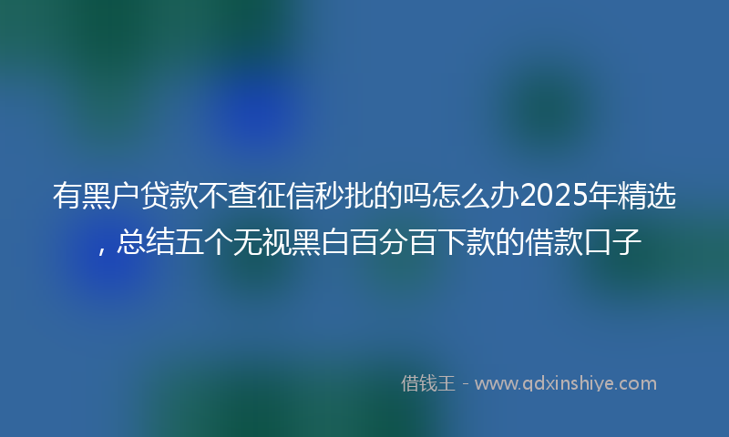 有黑户贷款不查征信秒批的吗怎么办2025年精选，总结五个无视黑白百分百下款的借款口子