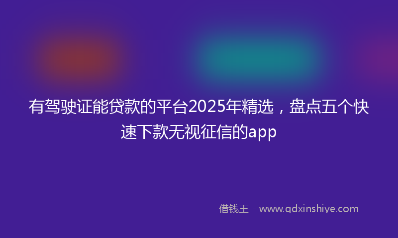 有驾驶证能贷款的平台2025年精选，盘点五个快速下款无视征信的app