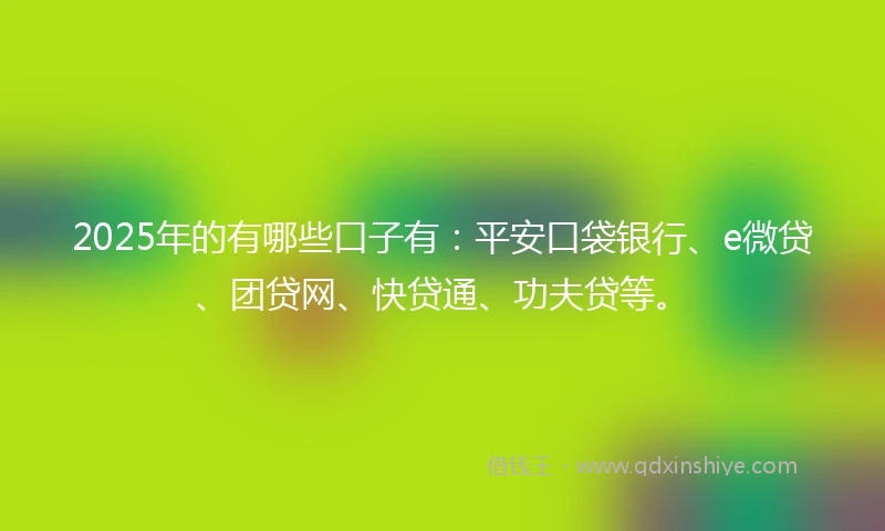 2025年的有哪些口子有：平安口袋银行、e微贷、团贷网、快贷通、功夫贷等。