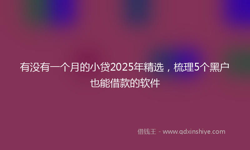 有没有一个月的小贷2025年精选，梳理5个黑户也能借款的软件