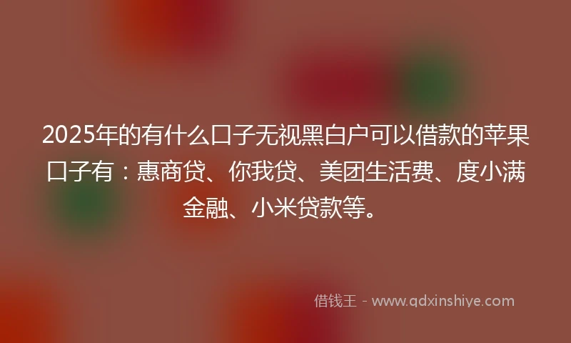 2025年的有什么口子无视黑白户可以借款的苹果口子有：惠商贷、你我贷、美团生活费、度小满金融、小米贷款等。