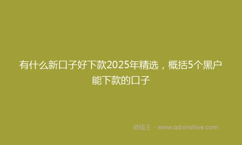 有什么新口子好下款2025年精选，概括5个黑户能下款的口子