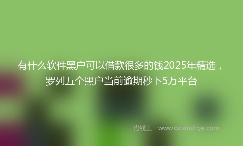 有什么软件黑户可以借款很多的钱2025年精选，罗列五个黑户当前逾期秒下5万平台