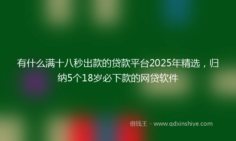 有什么满十八秒出款的贷款平台2025年精选，归纳5个18岁必下款的网贷软件