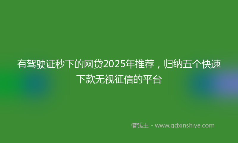 有驾驶证秒下的网贷2025年推荐，归纳五个快速下款无视征信的平台