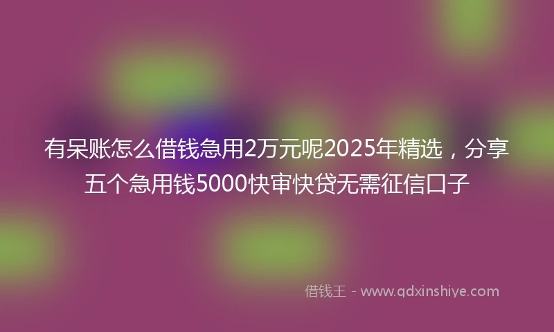 有呆账怎么借钱急用2万元呢2025年精选，分享五个急用钱5000快审快贷无需征信口子