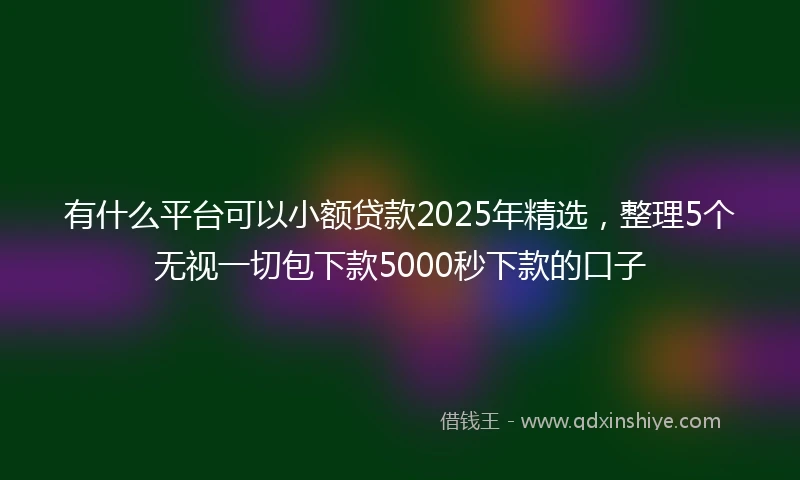 有什么平台可以小额贷款2025年精选，整理5个无视一切包下款5000秒下款的口子
