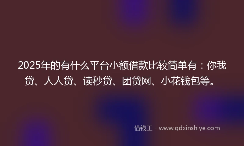 2025年的有什么平台小额借款比较简单有：你我贷、人人贷、读秒贷、团贷网、小花钱包等。