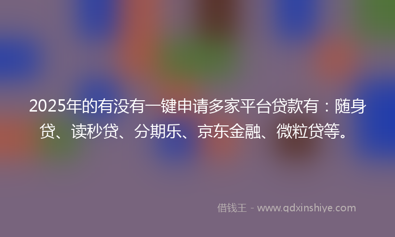 2025年的有没有一键申请多家平台贷款有：随身贷、读秒贷、分期乐、京东金融、微粒贷等。