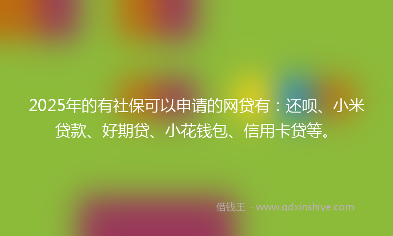2025年的有社保可以申请的网贷有：还呗、小米贷款、好期贷、小花钱包、信用卡贷等。
