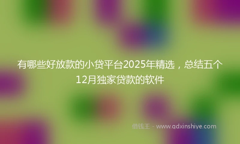 有哪些好放款的小贷平台2025年精选，总结五个12月独家贷款的软件
