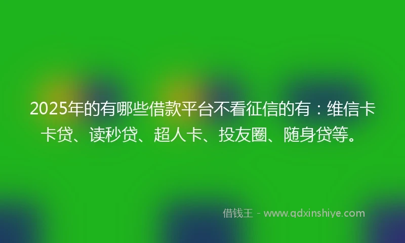 2025年的有哪些借款平台不看征信的有：维信卡卡贷、读秒贷、超人卡、投友圈、随身贷等。