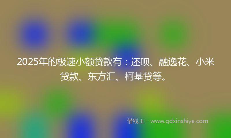 2025年的极速小额贷款有：还呗、融逸花、小米贷款、东方汇、柯基贷等。