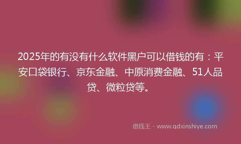 2025年的有没有什么软件黑户可以借钱的有：平安口袋银行、京东金融、中原消费金融、51人品贷、微粒贷等。