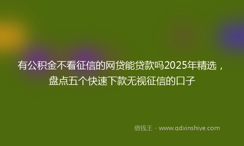有公积金不看征信的网贷能贷款吗2025年精选，盘点五个快速下款无视征信的口子