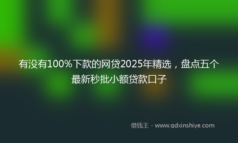 有没有100%下款的网贷2025年精选，盘点五个最新秒批小额贷款口子