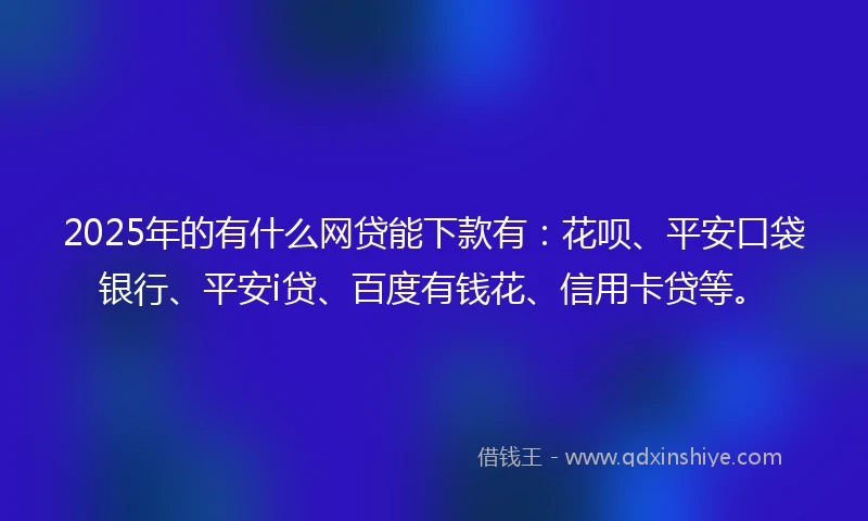 2025年的有什么网贷能下款有：花呗、平安口袋银行、平安i贷、百度有钱花、信用卡贷等。