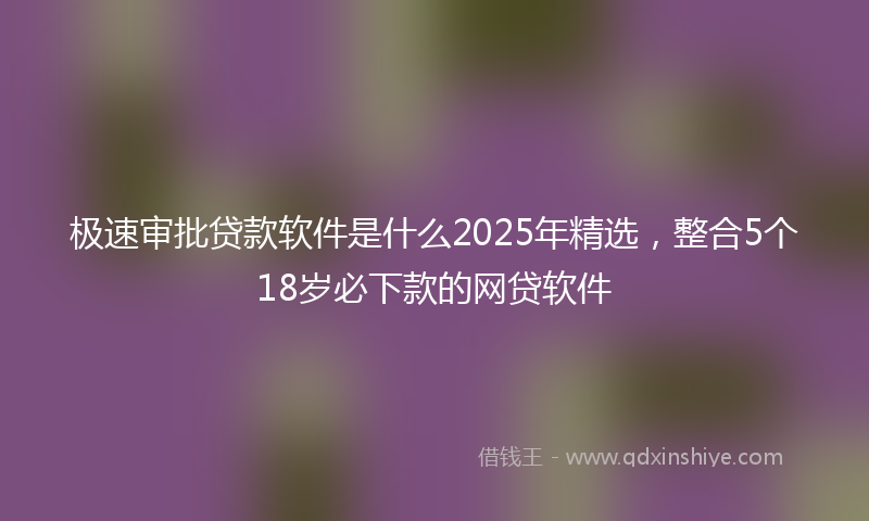 极速审批贷款软件是什么2025年精选，整合5个18岁必下款的网贷软件