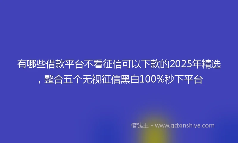 有哪些借款平台不看征信可以下款的2025年精选,整合五个无视征信黑白100%秒下平台