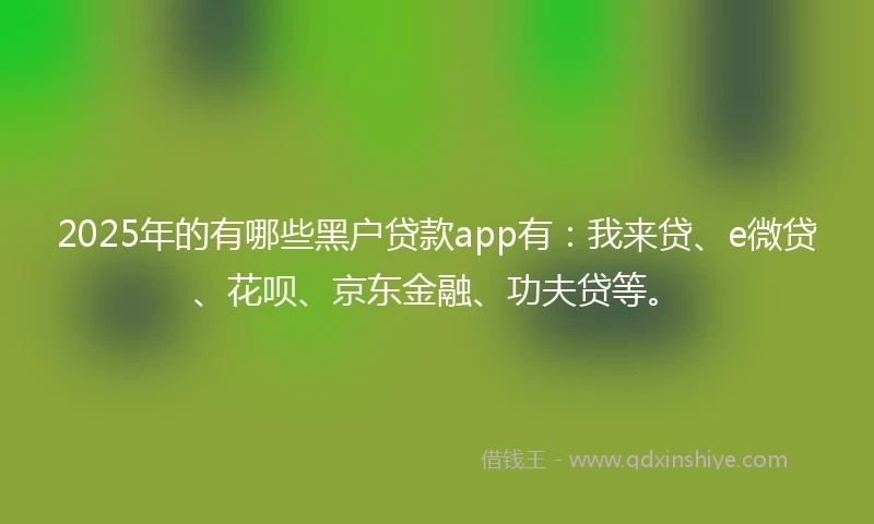 2025年的有哪些黑户贷款app有：我来贷、e微贷、花呗、京东金融、功夫贷等。
