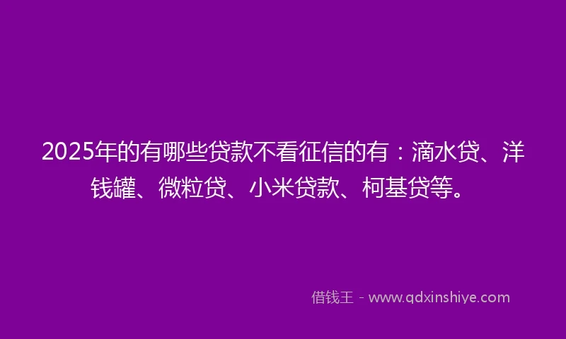 2025年的有哪些贷款不看征信的有：滴水贷、洋钱罐、微粒贷、小米贷款、柯基贷等。