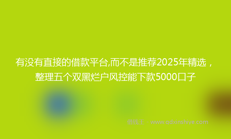 有没有直接的借款平台,而不是推荐2025年精选，整理五个双黑烂户风控能下款5000口子