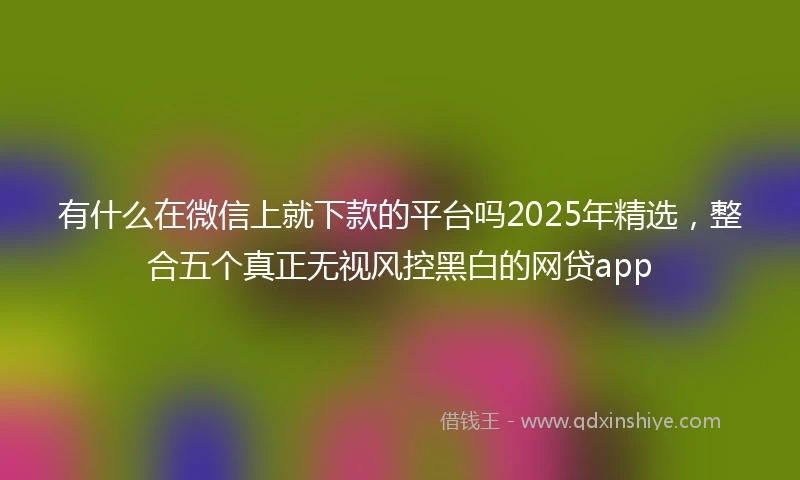 有什么在微信上就下款的平台吗2025年精选，整合五个真正无视风控黑白的网贷app