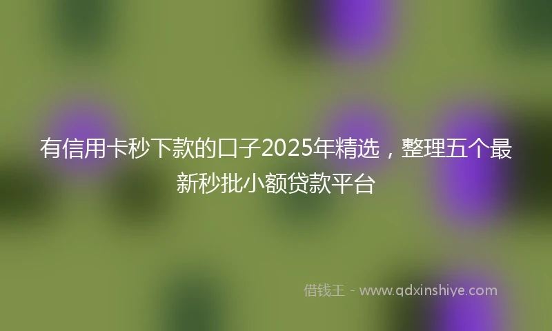 有信用卡秒下款的口子2025年精选，整理五个最新秒批小额贷款平台