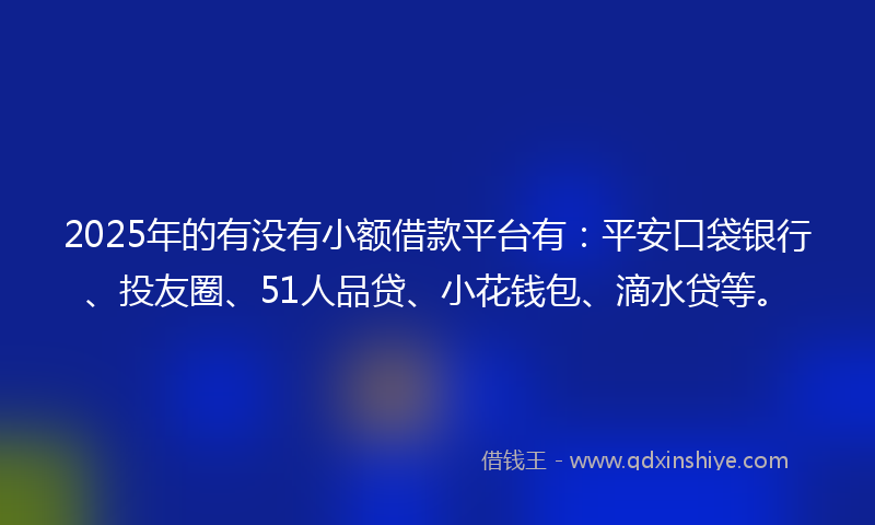 2025年的有没有小额借款平台有：平安口袋银行、投友圈、51人品贷、小花钱包、滴水贷等。