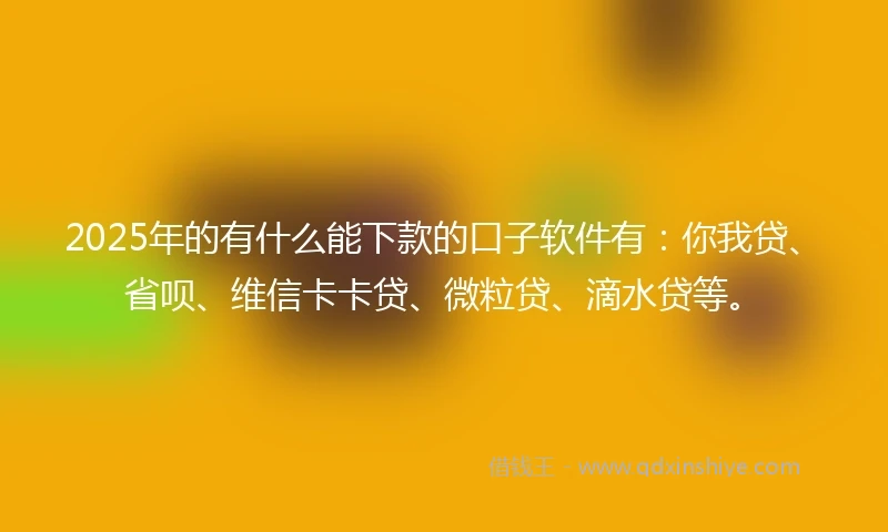 2025年的有什么能下款的口子软件有：你我贷、省呗、维信卡卡贷、微粒贷、滴水贷等。