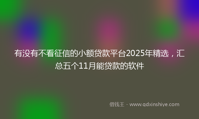 有没有不看征信的小额贷款平台2025年精选，汇总五个11月能贷款的软件