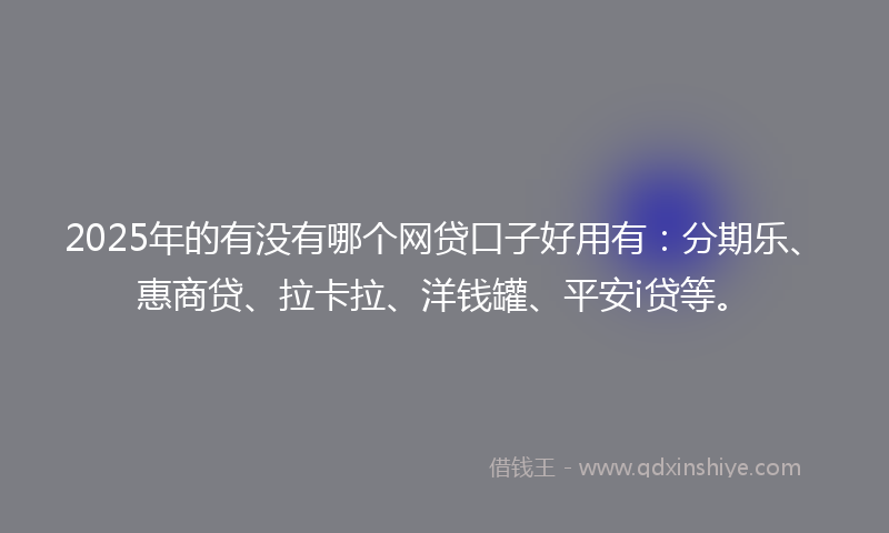 2025年的有没有哪个网贷口子好用有：分期乐、惠商贷、拉卡拉、洋钱罐、平安i贷等。