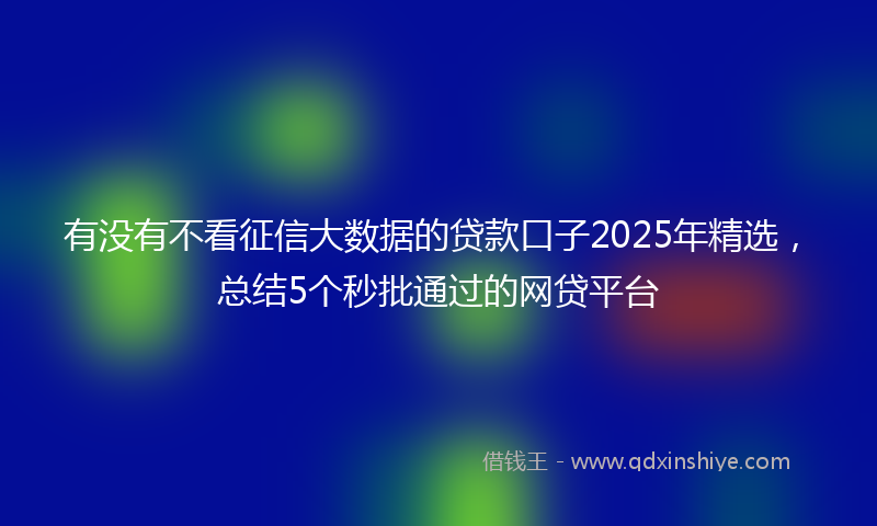 有没有不看征信大数据的贷款口子2025年精选，总结5个秒批通过的网贷平台