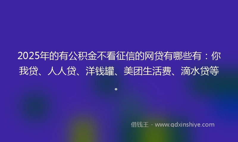 2025年的有公积金不看征信的网贷有哪些有:你我贷、人人贷、洋钱罐、美团生活费、滴水贷等。