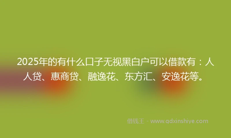 2025年的有什么口子无视黑白户可以借款有：人人贷、惠商贷、融逸花、东方汇、安逸花等。