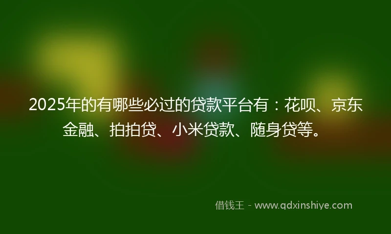 2025年的有哪些必过的贷款平台有：花呗、京东金融、拍拍贷、小米贷款、随身贷等。