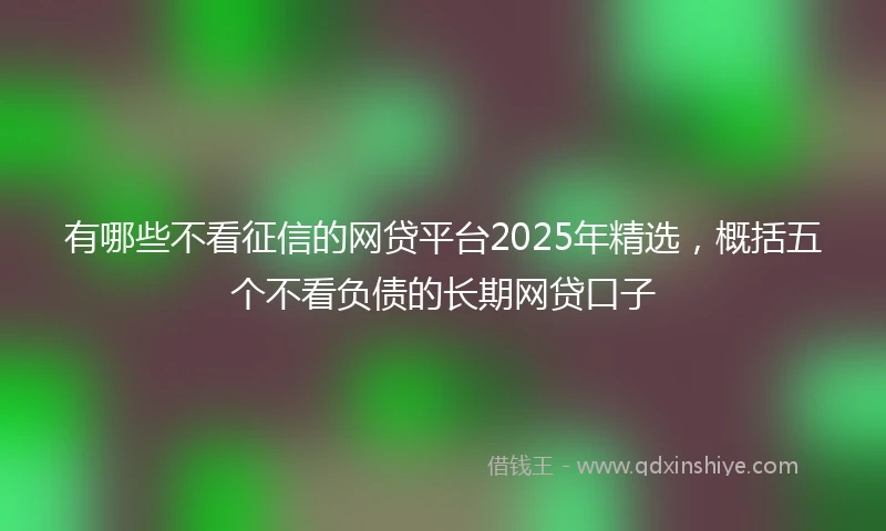 有哪些不看征信的网贷平台2025年精选，概括五个不看负债的长期网贷口子